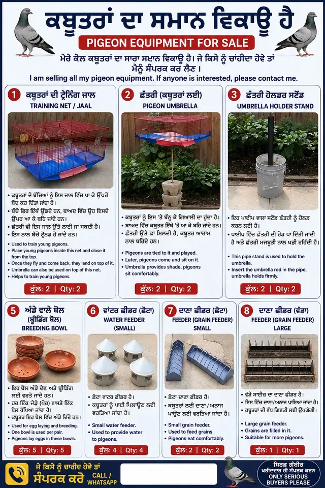SUPPLIES FOR PIGEONS
