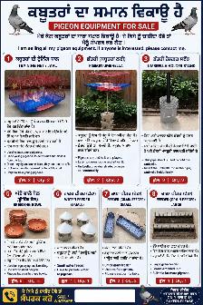 SUPPLIES FOR PIGEONS