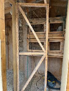 SUPPLIES FOR PIGEONS - Photo 9