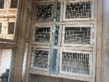SUPPLIES FOR PIGEONS - Photo 10