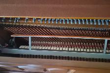 Young Chang Upright Piano – Lightly Used & Well Cared - Photo 4