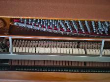 Young Chang Upright Piano – Lightly Used & Well Cared - Photo 5