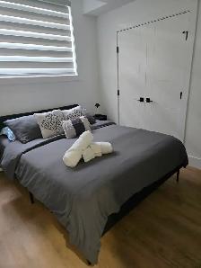 Professional Cleaners - Photo 2