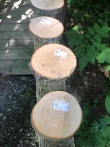 Plus d’une 30aine de rondelles de bois 3po à 5$ chacune