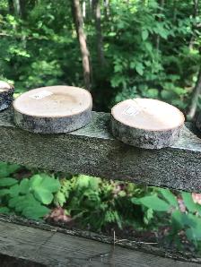 Plus d’une 30aine de rondelles de bois 3po à 5$ chacune - Photo 2