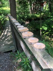 Plus d’une 30aine de rondelles de bois 3po à 5$ chacune - Photo 3
