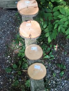 Plus d’une 30aine de rondelles de bois 3po à 5$ chacune - Photo 4