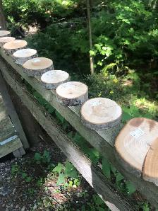 Plus d’une 30aine de rondelles de bois 3po à 5$ chacune - Photo 5