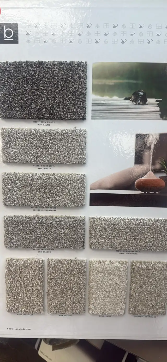 Carpet with pad with install $3.49/sf