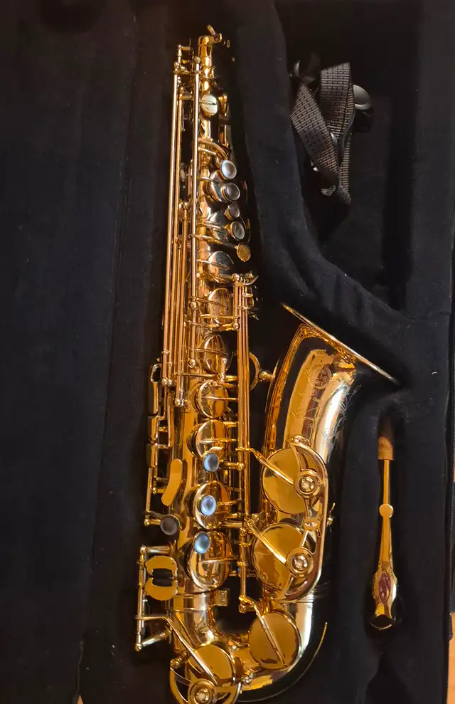 Alto Saxophone(Student Horn - Selmer Reference 54).