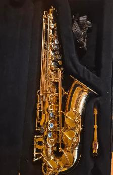 Alto Saxophone(Student Horn - Selmer Reference 54).