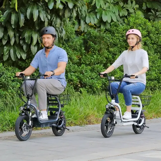 Power e-Scooter 750W 14' Tire Disc Break LED Highlight $299
