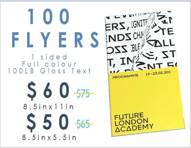100 PCS Premium Flyers $50