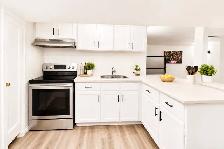 1 Bedroom Furnished Basement for rent - Photo 2