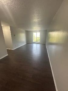 Two Bedroom Minnow Lake Available Now - Photo 3