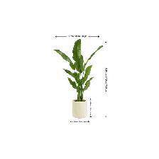 Lifelike Banana Tree - Photo 2