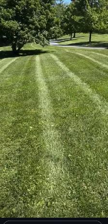 lawn care at its best ( Chatham) - Photo 4