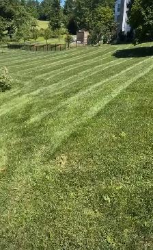 lawn care at its best ( Chatham) - Photo 5