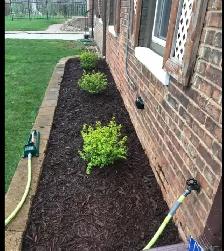 lawn care at its best ( Chatham) - Photo 7