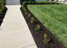 lawn care at its best ( Chatham) - Photo 8