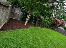 lawn care at its best ( Chatham) - Photo 9