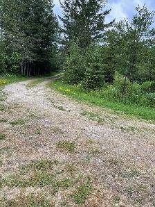 Land for Sale - Photo 2