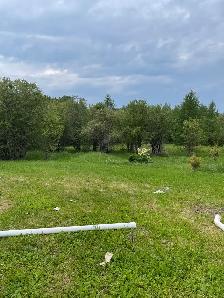 Land for Sale - Photo 4