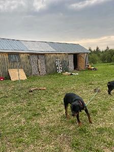 Land for Sale - Photo 7