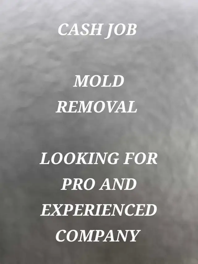 CASH JOB -Mold removal
