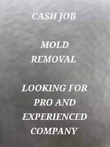 CASH JOB -Mold removal