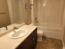 $1,800 / 2 Bedroom/1.5 Bathroom Suite Available - Sept 1st - Photo 4