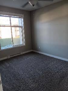 $1,800 / 2 Bedroom/1.5 Bathroom Suite Available - Sept 1st - Photo 8