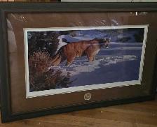 Ducks Unlimited Picture