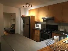 Montreal …6 1/2…Appliances Incl…Private Backyard - Photo 6