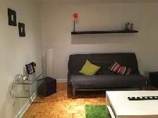 Montreal …6 1/2…Appliances Incl…Private Backyard - Photo 10