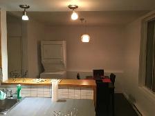 MONTREAL…4 Bedroom…6 1/2. PRIVATE BACKYARD - Photo 2