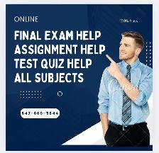Test Quiz Assignment Online Course Essay Homework All Diploma A