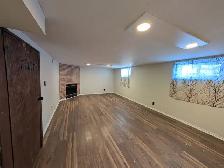Basement For Rent - Photo 15