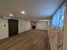 Basement For Rent - Photo 21