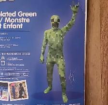 Halloween Morphsuit Costume - Photo 3
