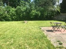 Furnished rooms near Sheridan College, the Oakville campus - Photo 8