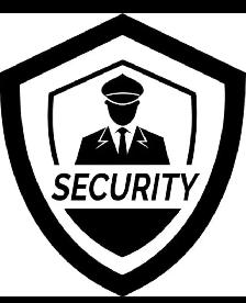 Hiring Event Security Guards in Toronto