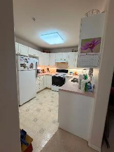 Suite #205 | 1 Bedroom   Den   1 Bathroom | $300,000 - Photo 3