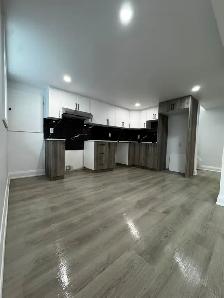BRAND NEW Never-Lived-In 2-Bedroom Basement Apartment - Photo 4
