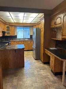 ✨ Prime 50’ x 150’ Lot – Live In, Rent Out, or Redevelop! ✨ - Photo 7