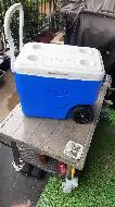 COLEMAN WHEELED COOLER FOR SALE