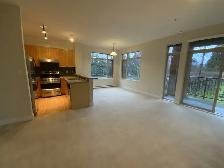 Spacious 2-Bedroom Apartment at UBC Campus for Rent!! - Photo 3