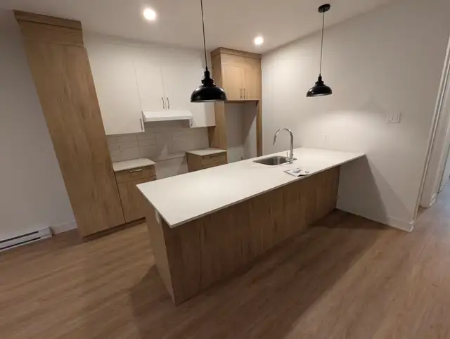 Beau  Grand 5  1/2  rue Prince-Albert