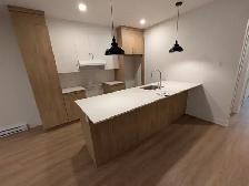 Beau  Grand 5  1/2  rue Prince-Albert