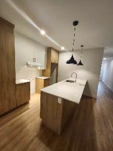 Beau  Grand 5  1/2  rue Prince-Albert - Photo 2